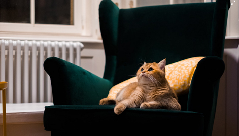 沙发已是许多家庭必需的家具